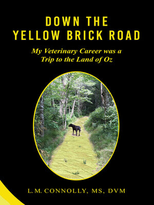 cover image of Down the Yellow Brick Road